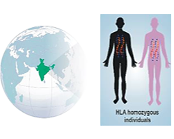 Applications of Induced Pluripotent Stem Cell (iPSC) Technology: Haplobanking